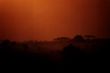 TopTen Sonnenaufgang Serengeti.jpg